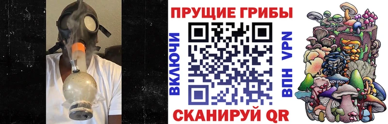 Купить закладки  Топки  Псилоцибиновые грибы MAGIC MUSHROOMS 